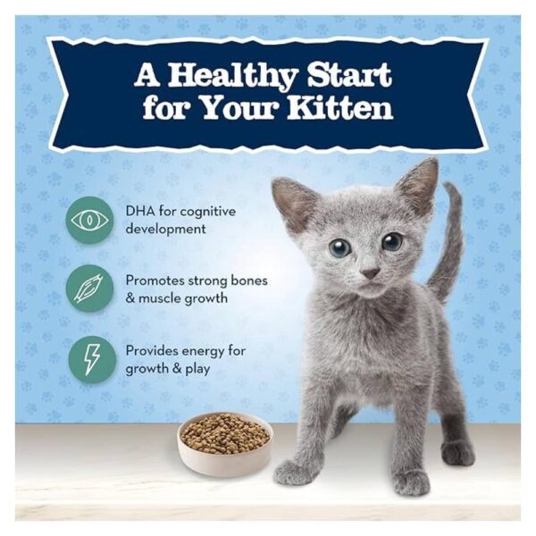 Blue Buffalo Baby BLUE Natural Grain-Free Dry Food for Kittens, Healthy Growth Formula with DHA, High-Protein Savory Chicken Recipe, 4.5-lb. Bag - Image 5